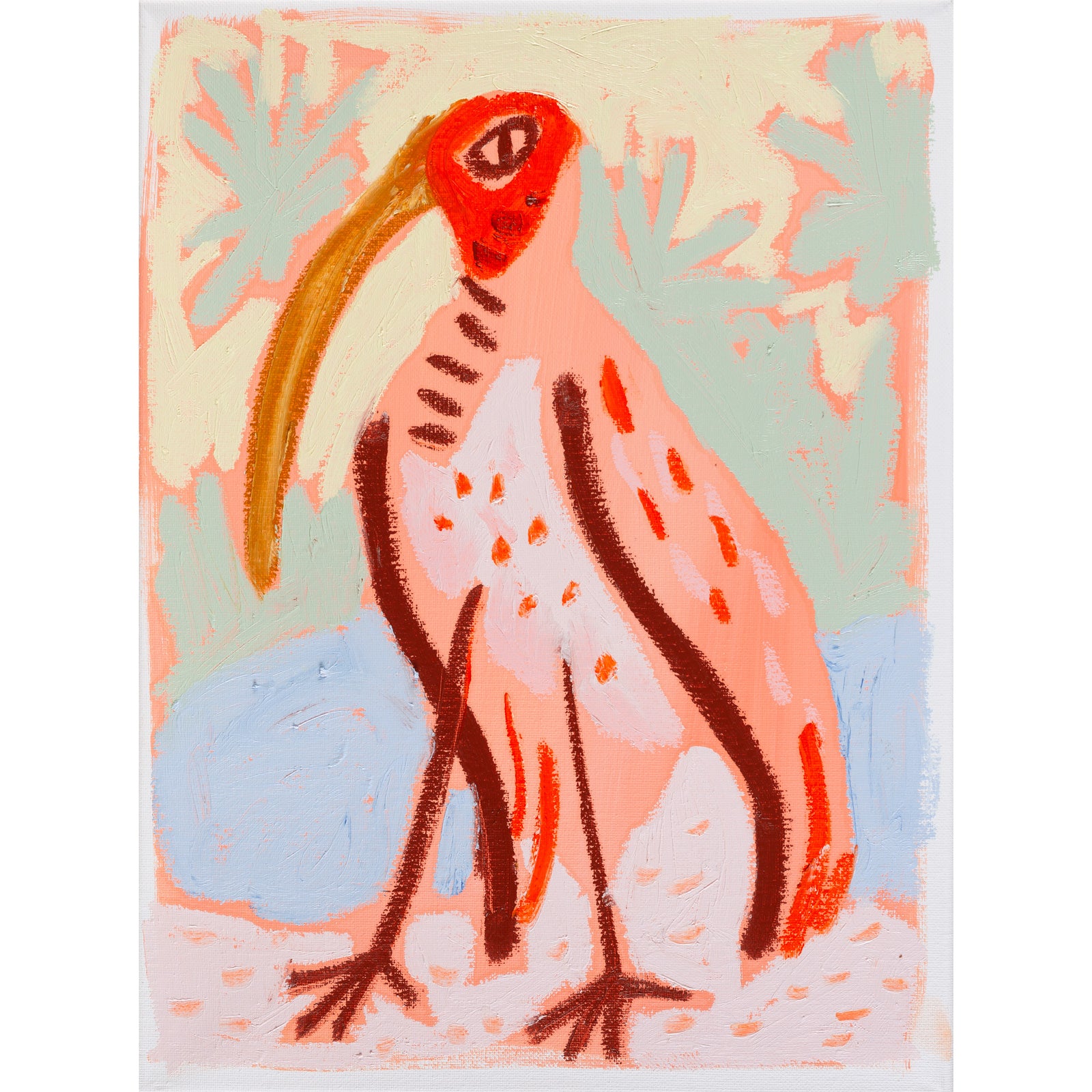 Scarlet Ibis - 12x16